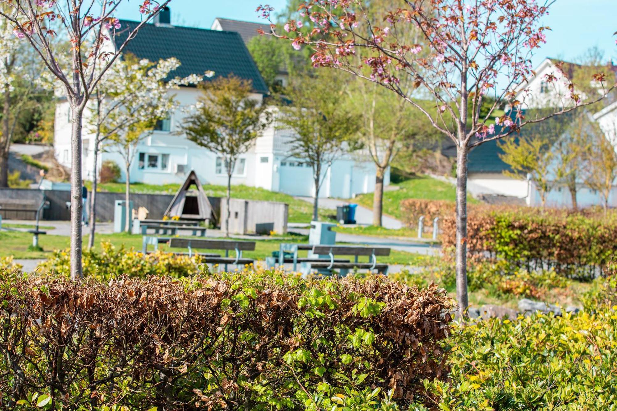 Quality Ulstein